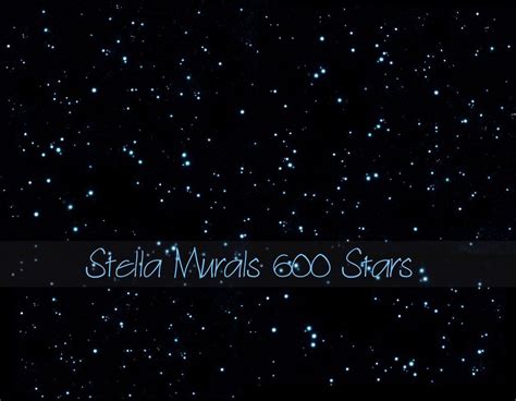 For a true night sky effect even during broad daylight paint the walls and ceiling if desired in our diy stencil painting kits are the absolute best way for you to enjoy the most realistic night sky mural on your ceiling without having night sky. Glow in the Dark Star Stickers for a Realistic Night Sky Ceiling (With images) | Star ceiling ...