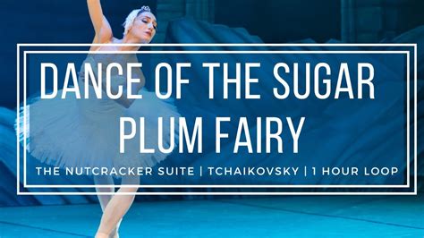Dance Of The Sugar Plum Fairy Tchaikovsky Nutcracker 1 Hour Version Youtube
