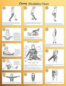Flexibility Chart Health Exercise Tips Pinterest Student The O