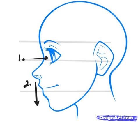 Anime Side View Proportions Tutorials Pinterest