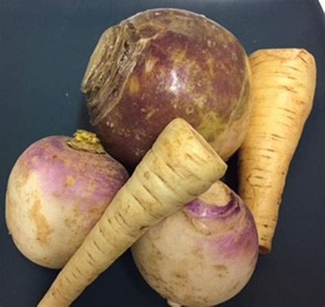 Dont Be A Stranger To Parsnips Rutabagas Turnips The Kansas City