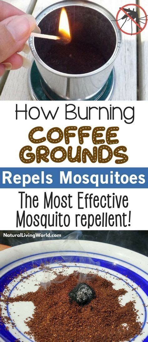 Natural insect repellents can easily be made at home yourself using natural ingredients like essential oil. DIY Natural mosquito repellent. How to burn coffee grounds to repel mosquitos and other insects ...