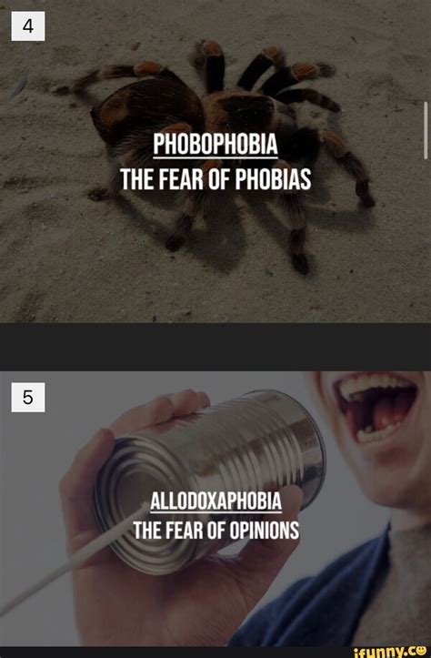 Phobophobia The Fear Of Phobias Allodoxaphobia The Fear Of Opinions Ifunny Brazil