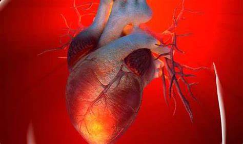 Injectable gel could assist with regrowing heart muscles after a coronary failure