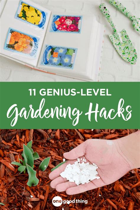 11 clever gardening hacks you ll want to know diy garden decor diy garden projects fun to be one