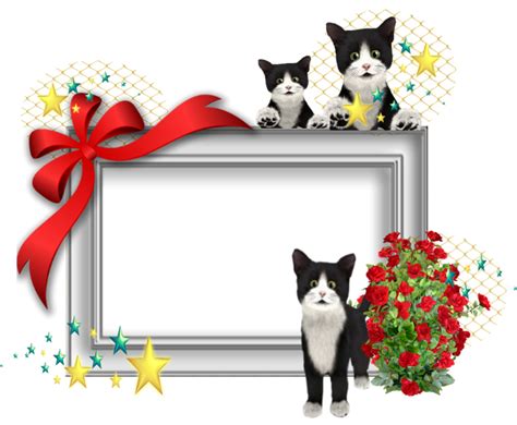 Cat Frame Square Frames Cute Cat Cluster Png Home Decor Cats