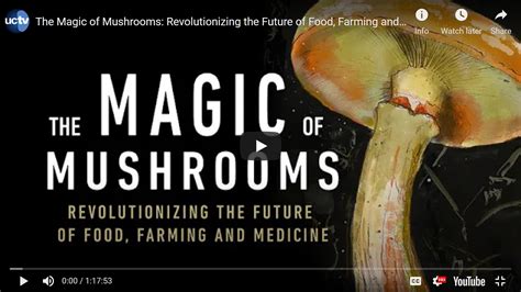 New On Ucsd Tv The Magic Of Mushrooms Revolutionizing The Future Of