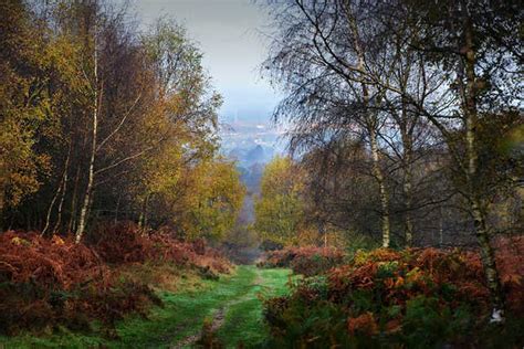 Commonwealth Games 2022 Cannock Chase Set To Host Mountain Bikers