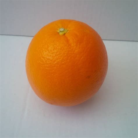 Large Oranges 4 For £240 The Northampton Grocer