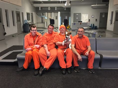 Forsyth County Jail Pups With Purpose United States