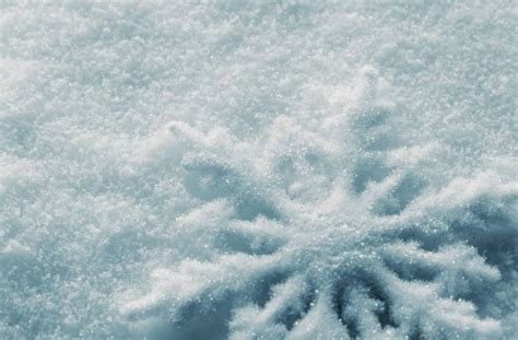 The Largest Snowflake Ever Recorded A Fascinating Wonder Of Nature