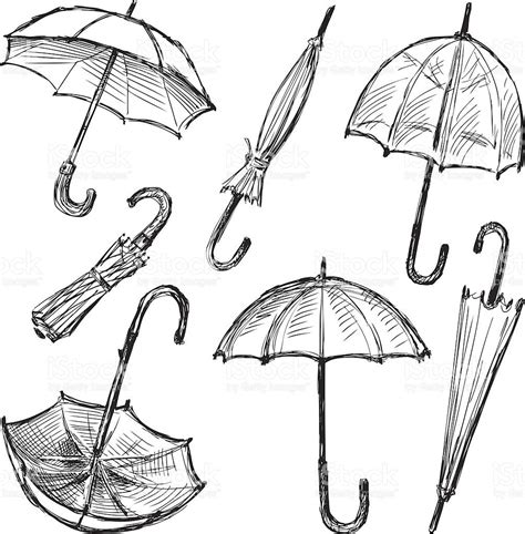 Vector Drawing Of A Different Umbrellas Umbrella Art Umbrella