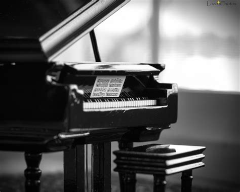 Scopri il catalogo lenzuola e trapunte su prénatal. Sfondi : bianco e nero, monocromo, miniatura, pentax, Cassetta musicale, pianoforte a coda ...
