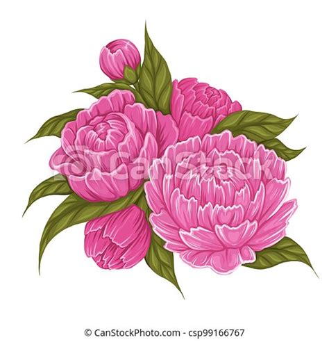 Vector Cartoon Illustration Of Peony Flowers With Foliage Image Of