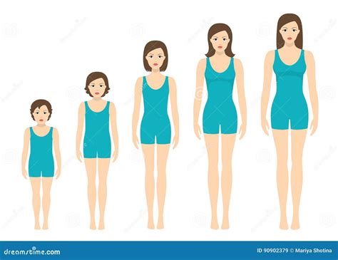 Тело S женщин соблюдает пропорции изменять с временем Этапы роста