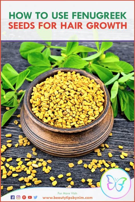 How To Use Fenugreek Seeds For Hair Growth Beauty Tips By Nim