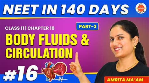 body fluids and circulation part 3 chapter 18 neet 2024 biology neet in 140 days class