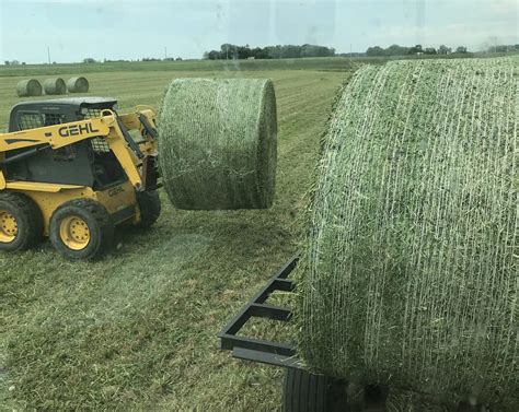 Preserving High Quality Baled Hay Form A Feed
