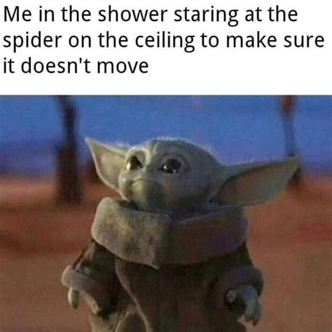 √ Yoda Funny Memes Baby Yoda Quotes