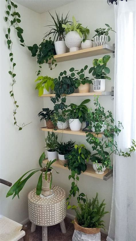 Gorgeous 44 Simple Wall Plants Decorating Ideas Easy House Plants