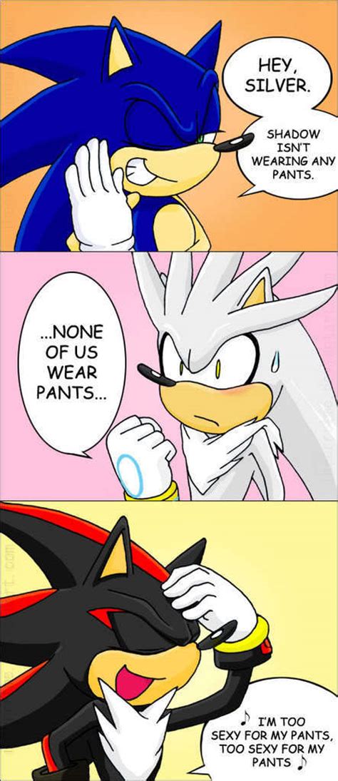 Shadows Too Sexy For His Pants Sonic Shadow And Silver Photo