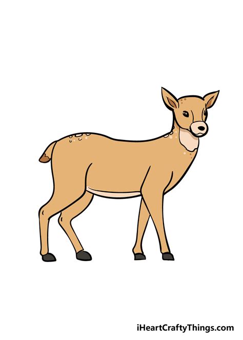 Easy Steps On How To Draw A Deer Fitzgerald Theepost