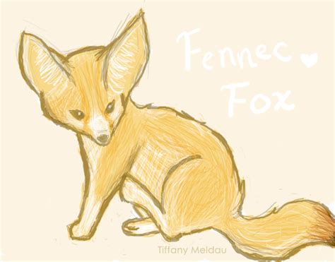 Fennec Fox By Thelegendoftiffany On Deviantart