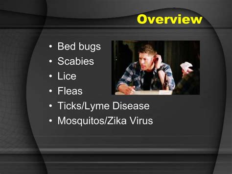 Predators Bed Bugs Scabies And More