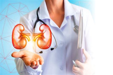 5 Important Things You Should Know About Kidney Transplant V Maga