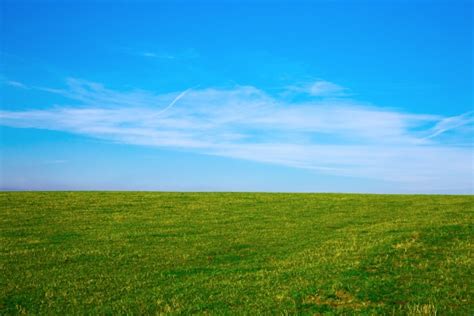 Grünes Feld Und Blauer Himmel Kostenloses Stock Bild Public Domain