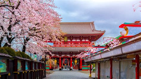 The 10 Best Hotels In Asakusa Tokyo