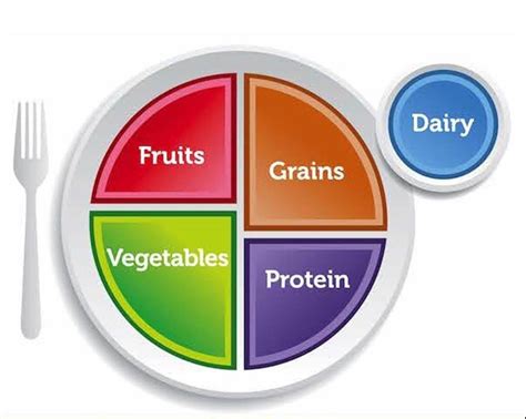 Myplate Life Skills Quiz Quizizz 1760 Hot Sex Picture