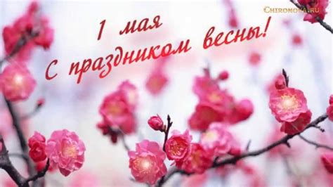 Прикольные открытки на 1 мая, скачивайте и отправляйте бесплатно. С праздником 1 мая! Ландыши. Podryga-on-line.ru - YouTube