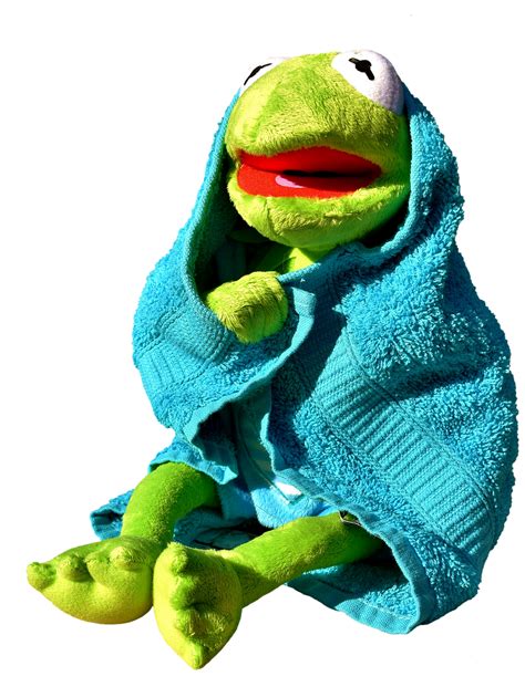 Kermit Frog Towel Free Photo On Pixabay