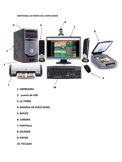 Identifique Las Partes Del Computador Hardware De La Computadora