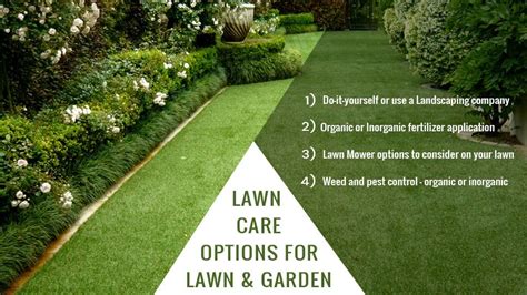 Texas Lawn Care Options For Your Lawn And Garden Gomow Lawn And