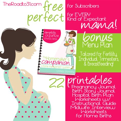 Free Pregnancy And Birth Planner 22 Printables