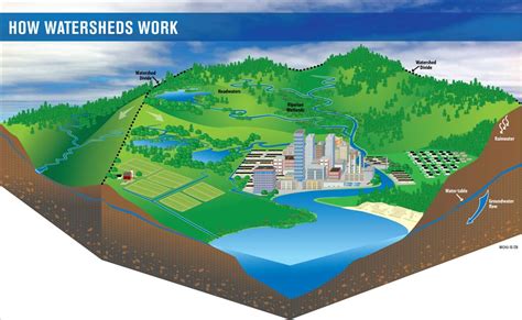 Blueprint For Watershed Collaboration Purpose Of Watershed Protection