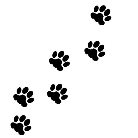 Cat Tracks Animal Tracks Paw Cat Paw Animal Step Cute Paw Cat
