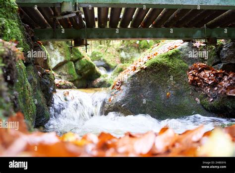 Wooden Bridge From Below River Flows Between Stones Autumn Leaves