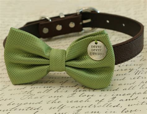Green Dog Bow Tie Brown Dog Collar Bow Tie With A Charm Etsy