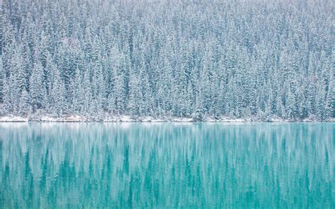 Pine Trees Winter Reflections Blue Lake Hd 4k 4k Wallpaper