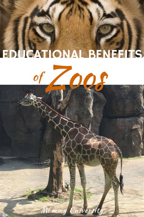 Essay Visit Zoo Negara Telegraph