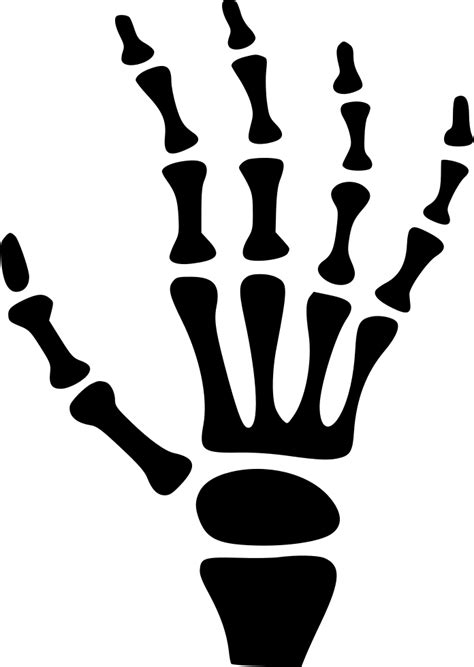 Middle Finger Drawing Skeleton Hand Png Stunning Free Transparent