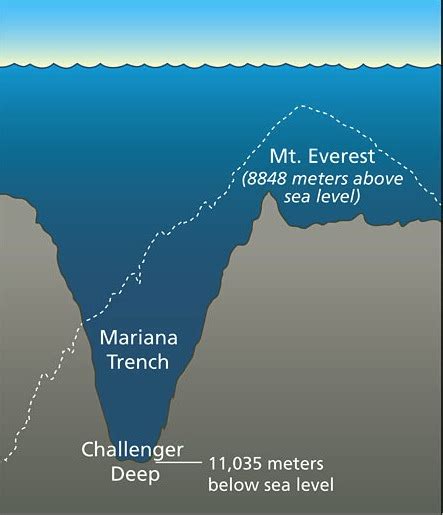 This article attempts to define deep sea or oceanic trenches and explains how they are created, their implications, and where they are found. Swansong Biospheres - Astrobiology Magazine