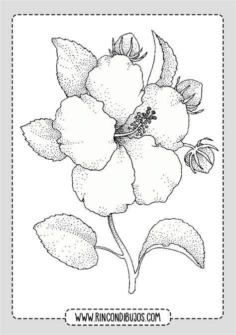 Dibujos De Flores Para Imprimir Y Colorear Rincon Dibujos Images