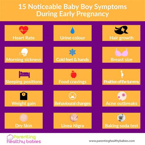 15 Accurate Symptoms Of Baby Boy In Pregnancy Pregnant With Boy