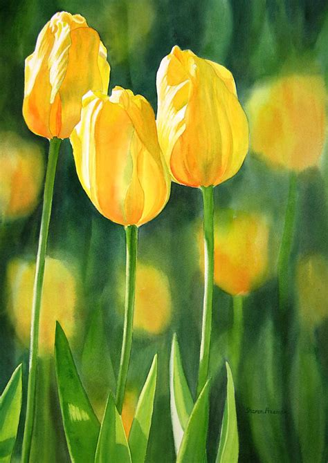 Yellow Tulips Painting By Sharon Freeman Pixels