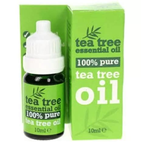 How To Use Tea Tree Oil For Toenail Fungus Treatment Nail Care Palace