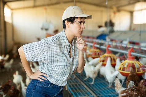 Portrait Of A Female Farmer In Poultry Farm Stock Photo Image Of